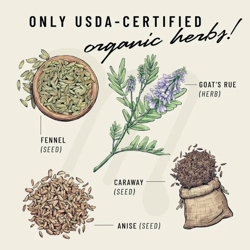 Lechita supplement organic herbs contents