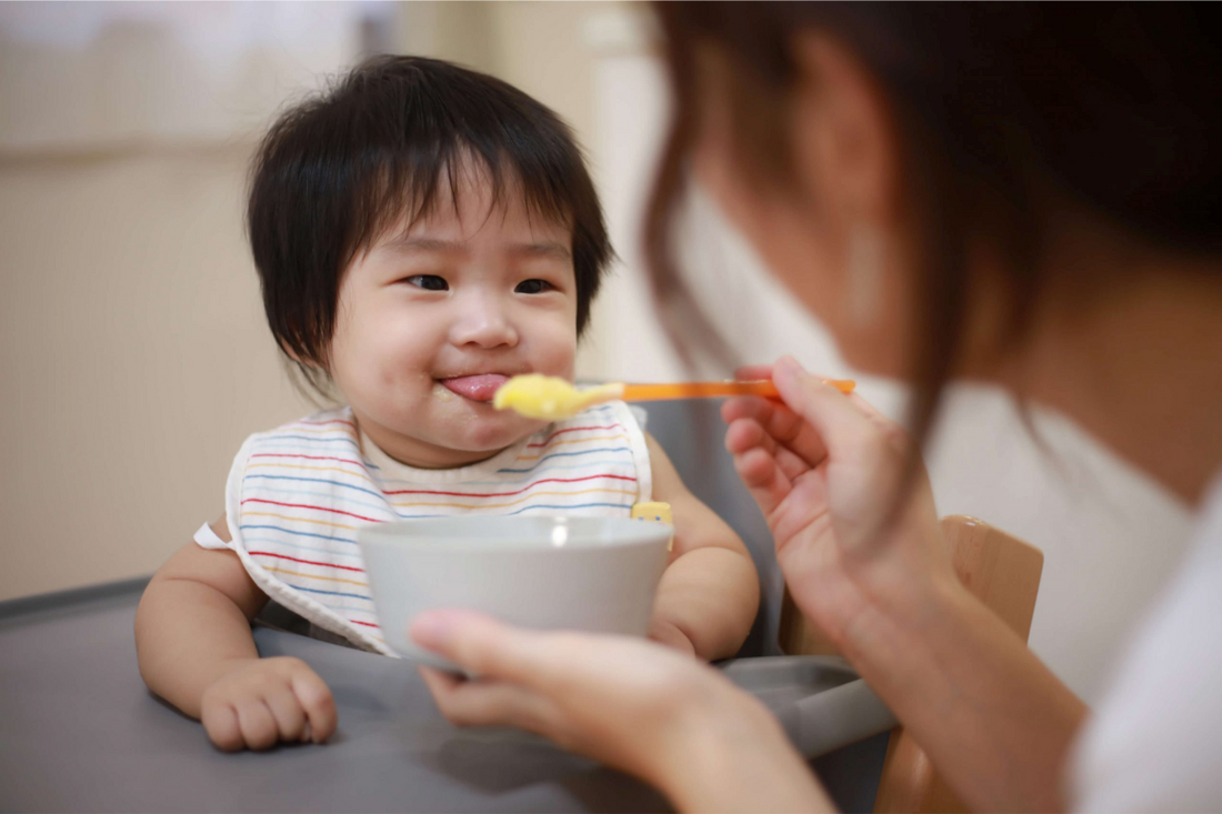 5 Easy DIY Baby Food Recipes for Healthy Eating from the Start