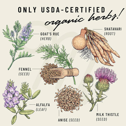 liquid gold organic herb contents