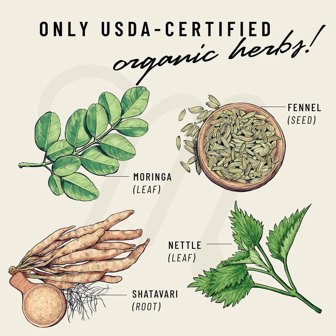 usda certified organic herbs 