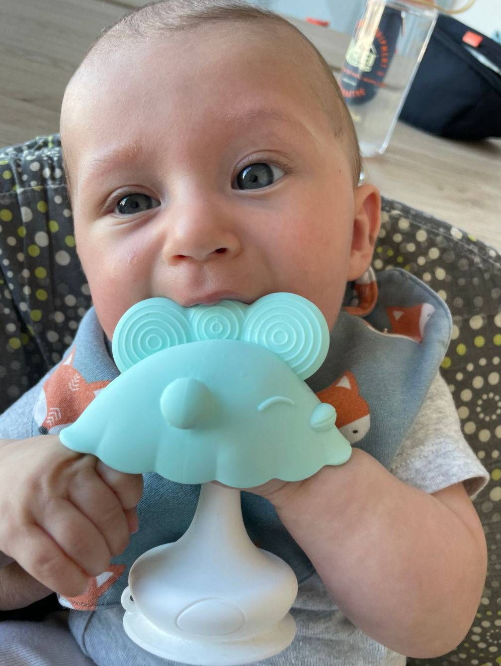 Frozen teething sales toys for babies